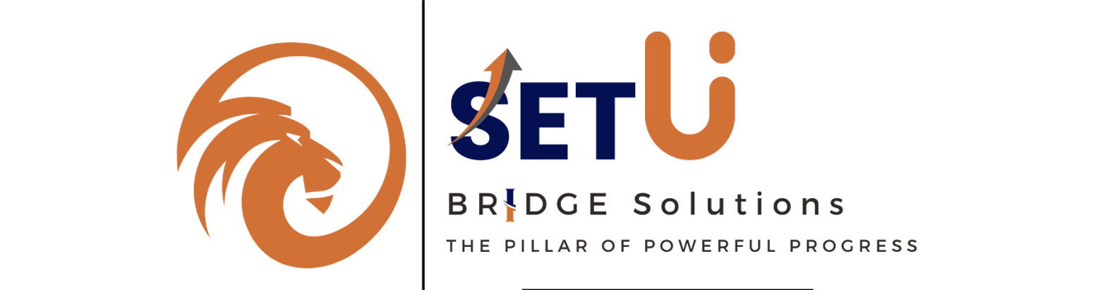SetuBridge Solutions | Business Growth, Startup Funding & Consultancy